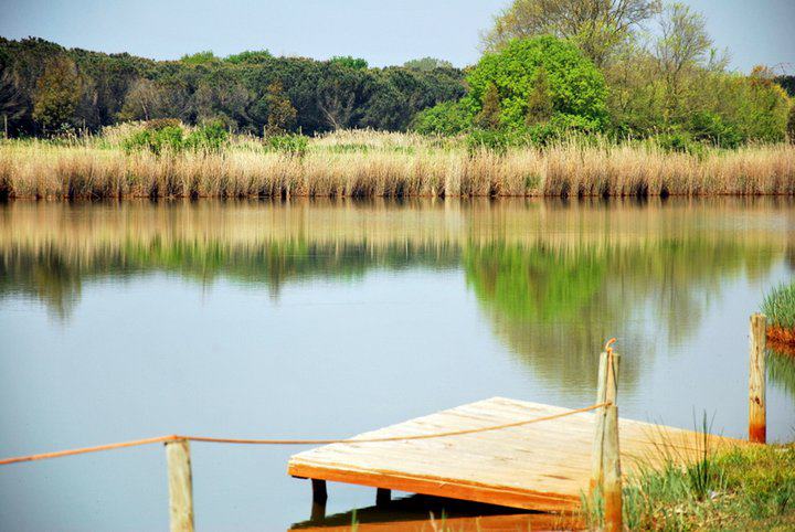 Vacanzelandia - Agricampeggio Lago Le Tamerici: per camper, caravan e ...